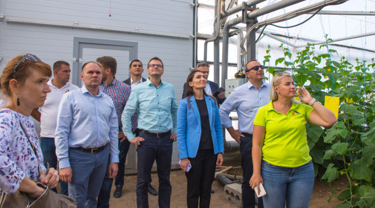 svezhie-ovoshhi-ot-kompanii-kfh-ermolaev